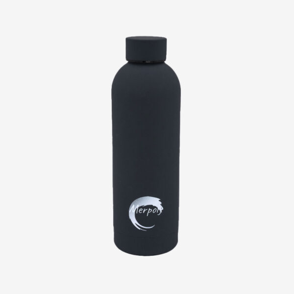 Stainless steel bottle